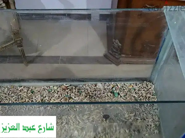 حوض سمك فاخر مع طاولة مدمجة - فرصة مميزة!