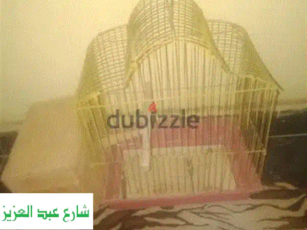 أجمل عصافير الزينة بأحجامها وألوانها المتنوعة - اشتري الآن!