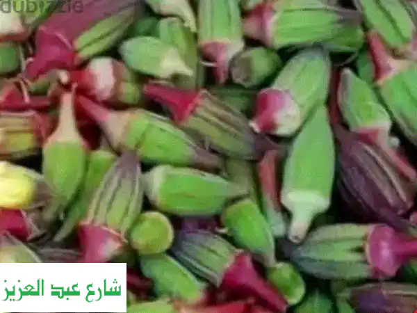 فرصة ذهبية! معدات ولوازم صناعية وزراعية...