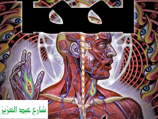 استمتع بألبوم Lateralus الأسطوري من Tool - جودة صوت استثنائية!