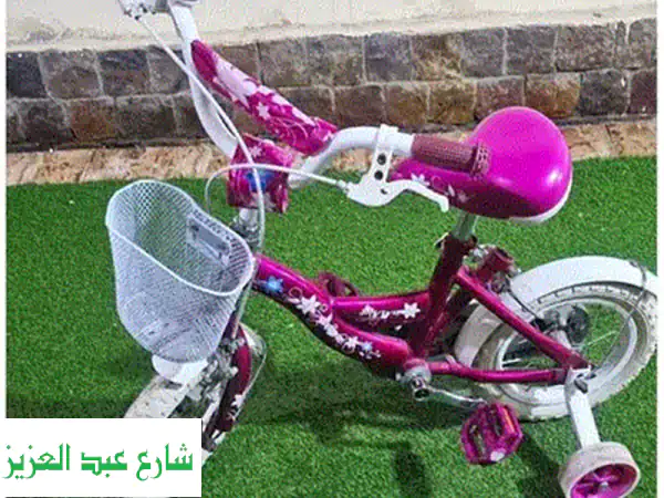 حدائق الأهرام كوجر 509: غطاء سيارات ودراجات فاخر وعصري (مقاس 45) - حماية مثالية!