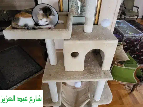 شجرة ألعاب قطط رائعة - سعر مميز! (3000 جنيه فقط)