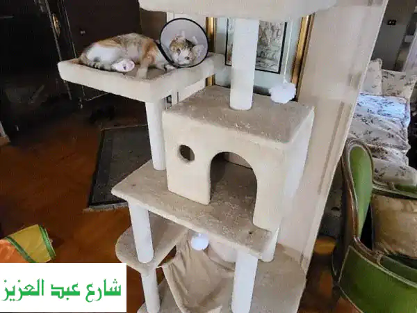 شجرة ألعاب قطط رائعة - سعر مميز! (3000 جنيه فقط)