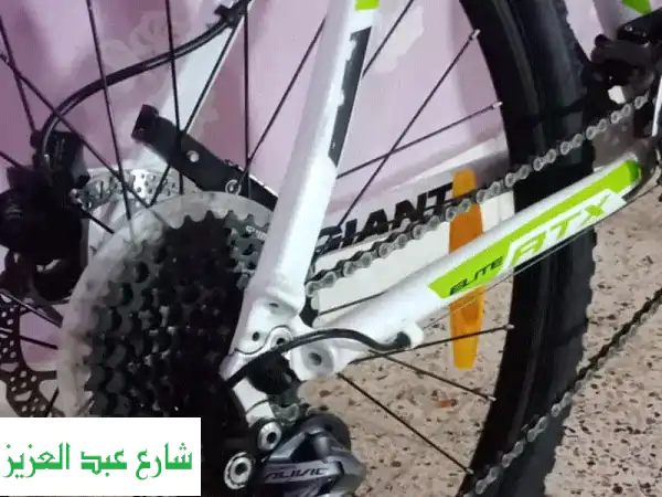 فرصة ذهبية! دراجة جبال Giant Elite L بحالة ممتازة - أقل من نصف السعر!