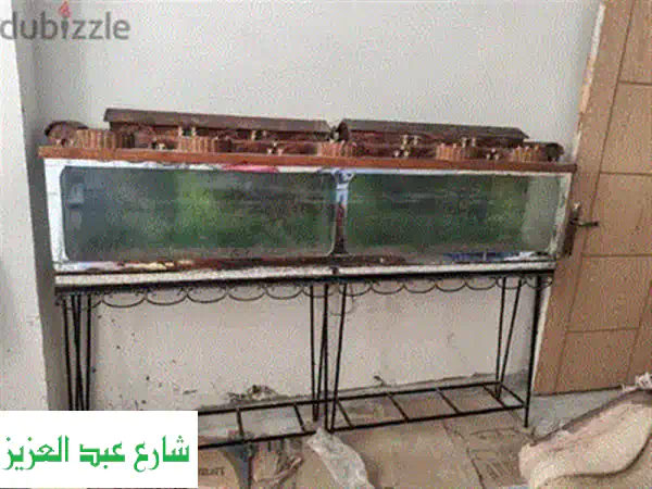 حوض سمك زجاجي 10 مللي: عالمٌ صغير، سعادةٌ كبيرة! 🐠
