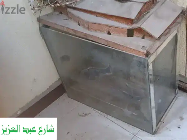 حوض سمك زجاجي 10 مللي: عالمٌ صغير، سعادةٌ كبيرة! 🐠