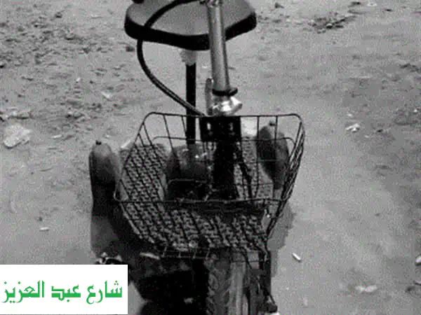 اسكوتر كهربائي ثلاثي العجلات: أمان وسهولة...