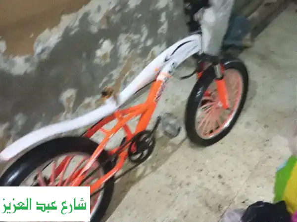 عجلة نيجر قوية ومتينة: مثالية للشباب، الأطفال،...