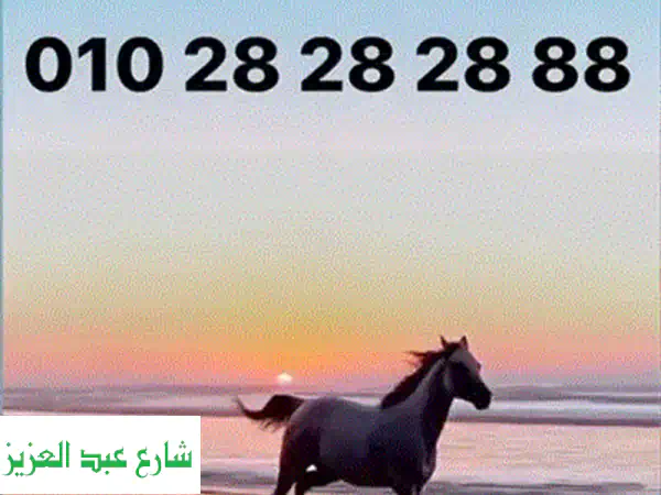 رقم فودافون VIP حصري! نادر ومميز - فرصة ذهبية!
