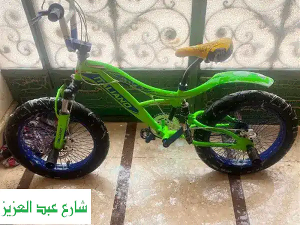 عجلة بحالة ممتازة للبيع في طنطا - فرصة لا تُفوّت!