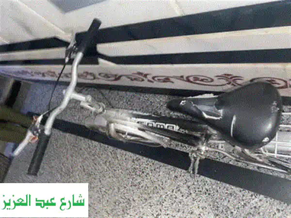 عجلة أطفال TPS Basha مستعملة بحالة ممتازة - فرصة رائعة!
