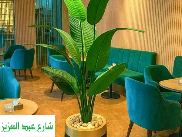أضف لمسة استوائية ساحرة لمكانك مع شجرة الموز الفاخرة!
