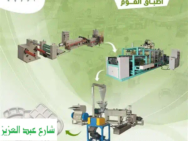 خطوط إنتاج أطباق الفوم: مشروعك المربح مع دالتكس إيجيبت