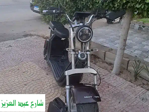 سكوتر هارلي كهربائي -  فرصة ذهبية!  (65 كم/ساعة، مدى 30 كم، حالة ممتازة)