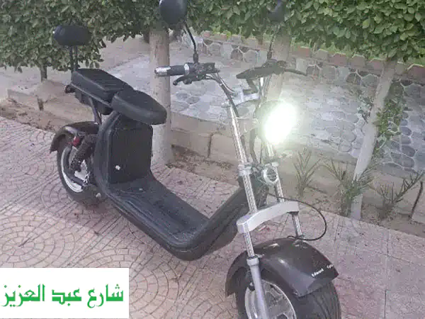 سكوتر هارلي كهربائي -  فرصة ذهبية!  (65 كم/ساعة، مدى 30...