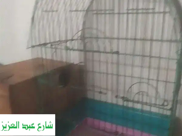 قفص كوكتيل فاخر مع بيّاتين - عرض خاص!
