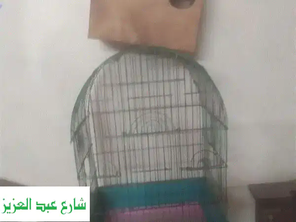 قفص كوكتيل فاخر مع بيّاتين - عرض خاص!