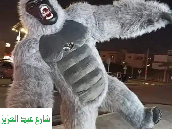 حفلات خاصة لا تُنسى مع كريزي بارتي شو:  أكثر من 35...