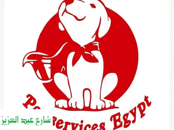 Pet Services Egypt: رعاية حيوانك الأليف بين يديك! 🐾