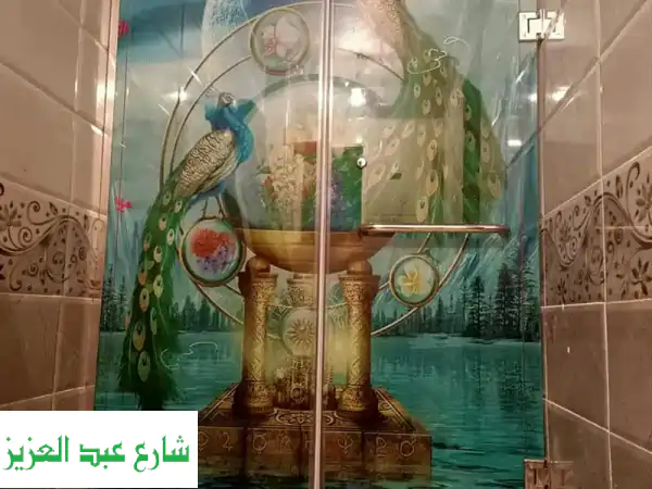 كابينة دش زجاج سيكوريت فاخرة - أسعار لا تُقاوم في القاهرة والجيزة!