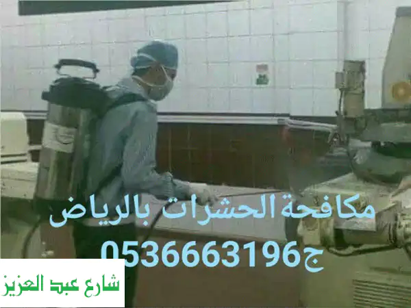 مكافحة حشرات بالرياض: تخلص نهائيًا من الحشرات...