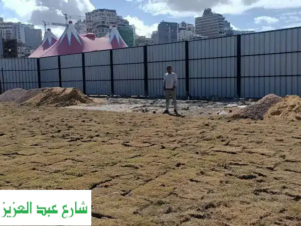سوار صاج أيقون: أناقة سعودية لحديقتك ✨  (جميع...