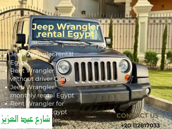 تشهد مصر في السنوات الأخيرة اقبالا كبيرا من...