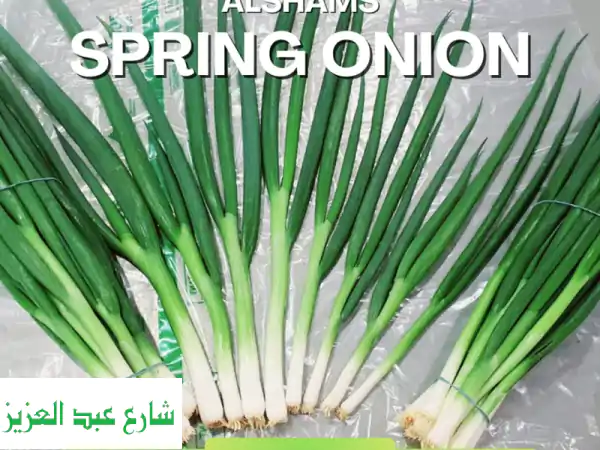 بصل أخضر مصري طازج جملة | شركة الشمس: جودة تصدير 150-200 جم