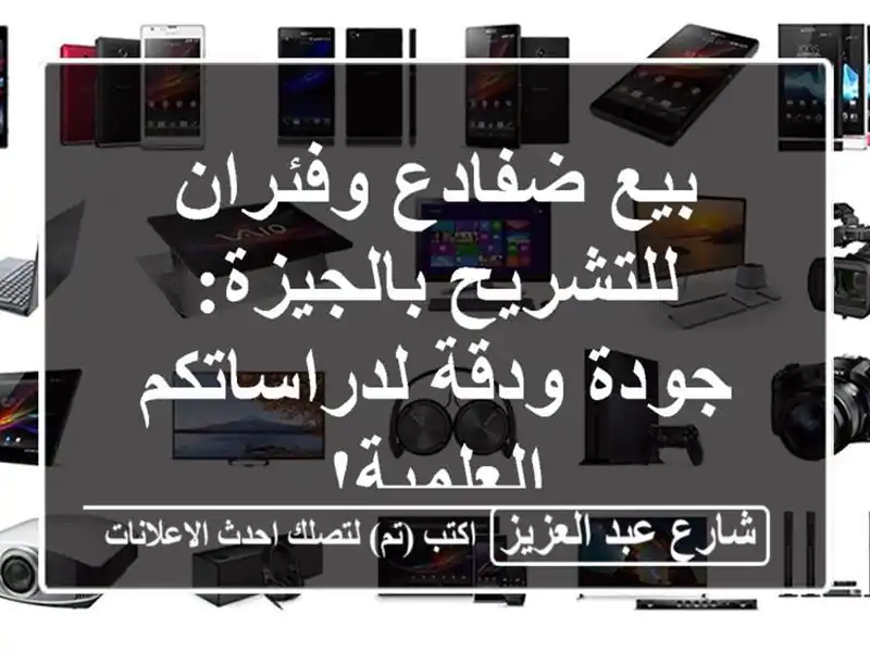 بيع ضفادع وفئران للتشريح بالجيزة: جودة ودقة...