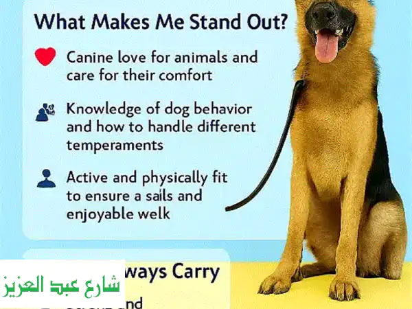 مشي كلاب احترافي: أمان وسعادة لصديقك الأليف...