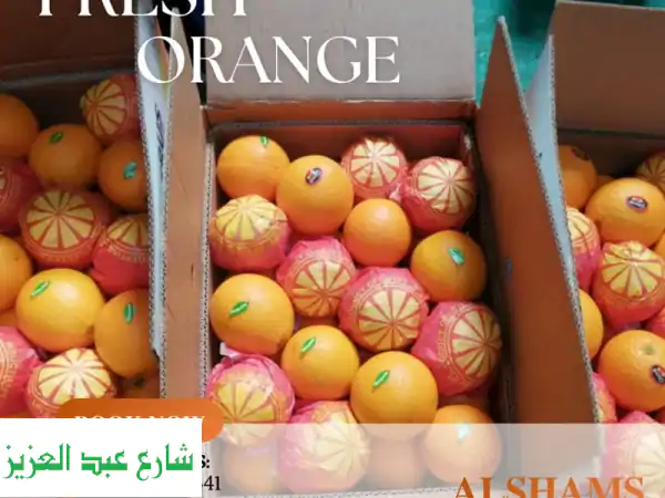 برتقال مصري طازج: شمس النيل في كل قطفة! جودة عالمية للتصدير