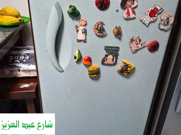 ديب فريزر زانوسي ٤ درج و ٥ أماكن: ثلاجتك...