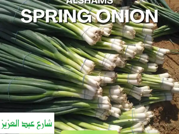 elevate your kitchen introducing the new gold standard in green onion tired of inconsistent...