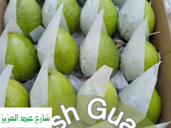 جوافة مصرية طازجة للتصدير | أجود الأصناف مباشرةً من مزارعنا