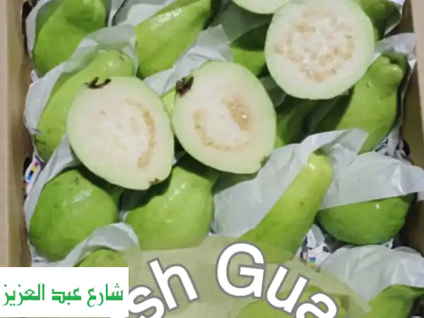 جوافة مصرية طازجة للتصدير | أجود الأصناف مباشرةً...