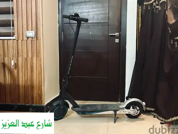 Xiaomi Mi Electric Scooter Pro 2 AMG PETRONAS F1 TEAM EDITION