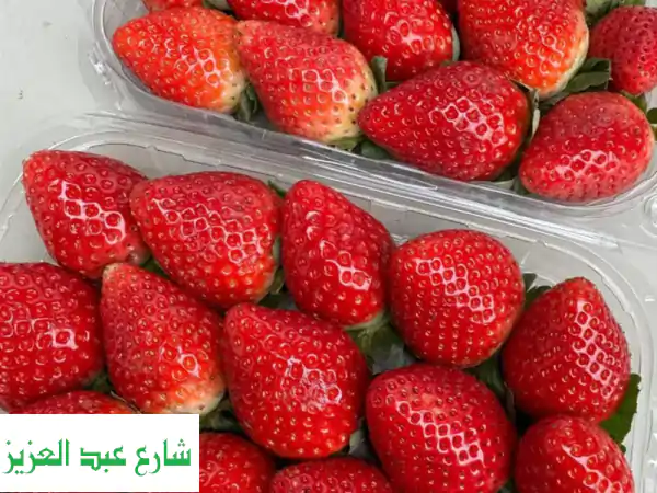 فراولة طازجة للتصدير بجودة عالمية | شركة الشمس:...