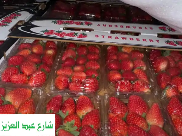 فراولة طازجة للتصدير بجودة عالمية | شركة الشمس: شريكك الموثوق للفاكهة الفاخرة