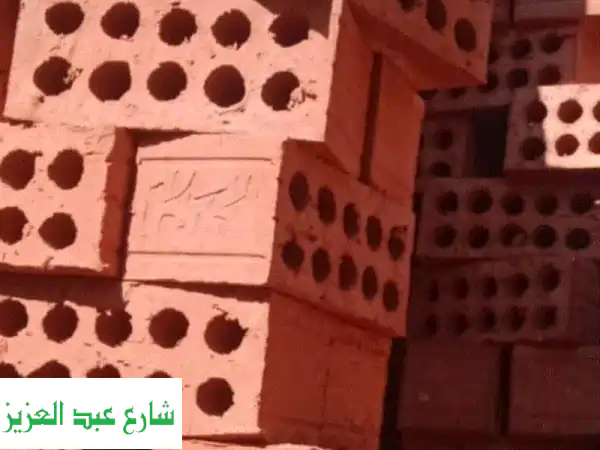 شركة النور: طوب أحمر طفلي - 'الفرق بيبان من أول طوبة' | أساس مشروعك القوي