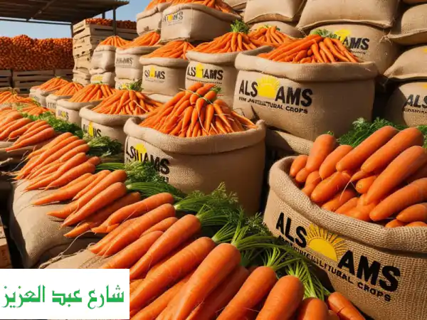 جزر مصري طازج ومغسول: حصاد الموسم الجديد بجودة...