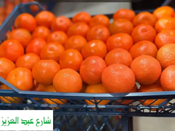 يوسفي ميركوت الفاخر: حلاوة استثنائية، سهل التقشير، وشحن عالمي!