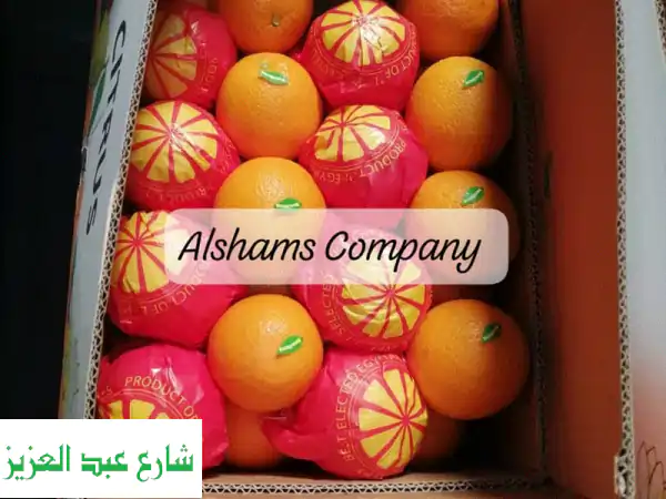 موسم البرتقال: برتقال طازج من مزارعنا، معبأ بإتقان، شحن عالمي! جودة فاخرة.