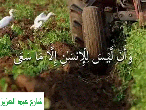 وان ليس للانسان الا ما سعى اجهزه خاصه للانتاج الحيواني