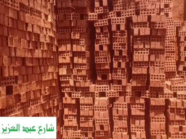 شركة النور: أساسك يبدأ قويًا! طوب أحمر طفلي بجودة لا تُضاهى | الجيزة وحلوان