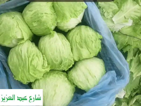 the ultimate crunch global iceberg lettuce export get your premium iceberg lettuce directly from ...