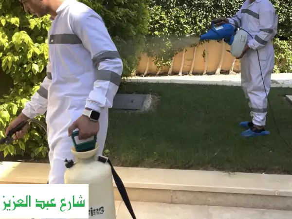 الشركة الألمانية لمكافحة الحشرات: وداعاً للآفات!...