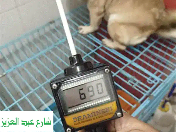 أقصى فرص للحمل! جهاز قياس التبويض المستورد للنتايات | بالشنطة ومؤشر التزاوج المثالي