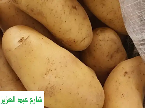 بطاطس مصرية 2026 للتصدير | المشرق: جودة مثالية،...