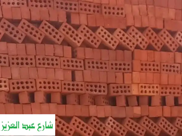 مصانع النور: الطوب الأحمر الطفلي | أساس بناءك...