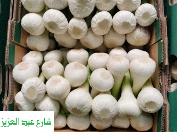 ثوم عالي الجودة للتصدير: قوة عالمية، نضارة تدوم،...